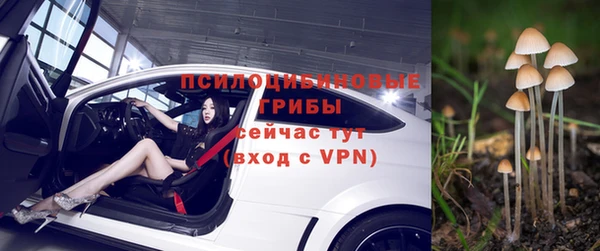СК Костерёво