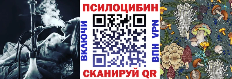 хочу наркоту  KRAKEN онион  Псилоцибиновые грибы GOLDEN TEACHER  Одинцово 